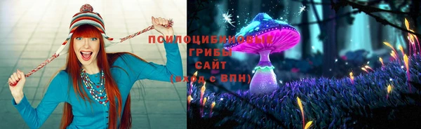 МДПВ Коряжма