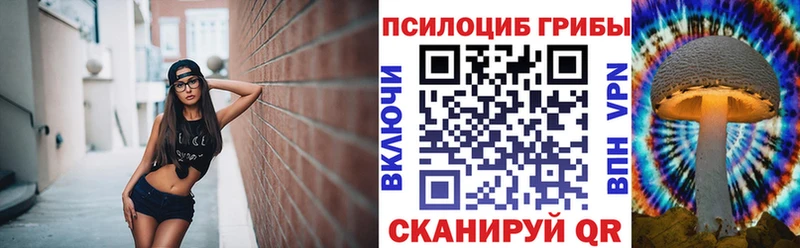 Купить где  Москва  Галлюциногенные грибы GOLDEN TEACHER 